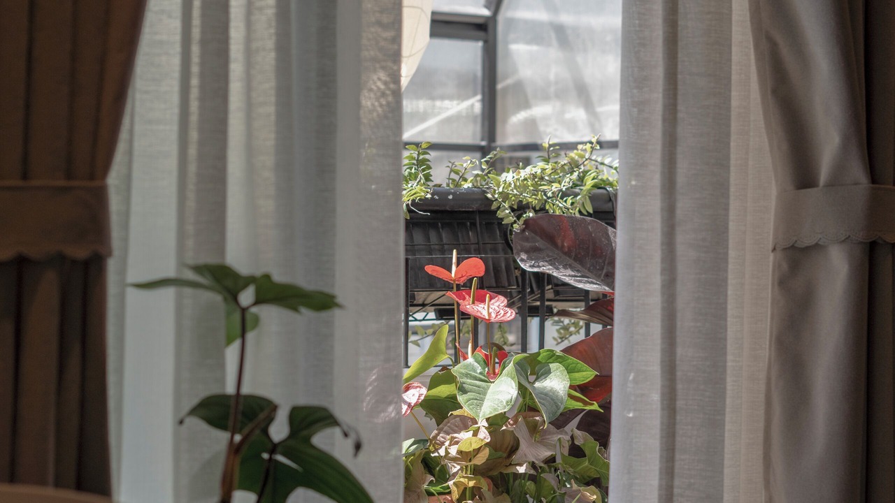Photo of Patio Balcony in Da Lat
