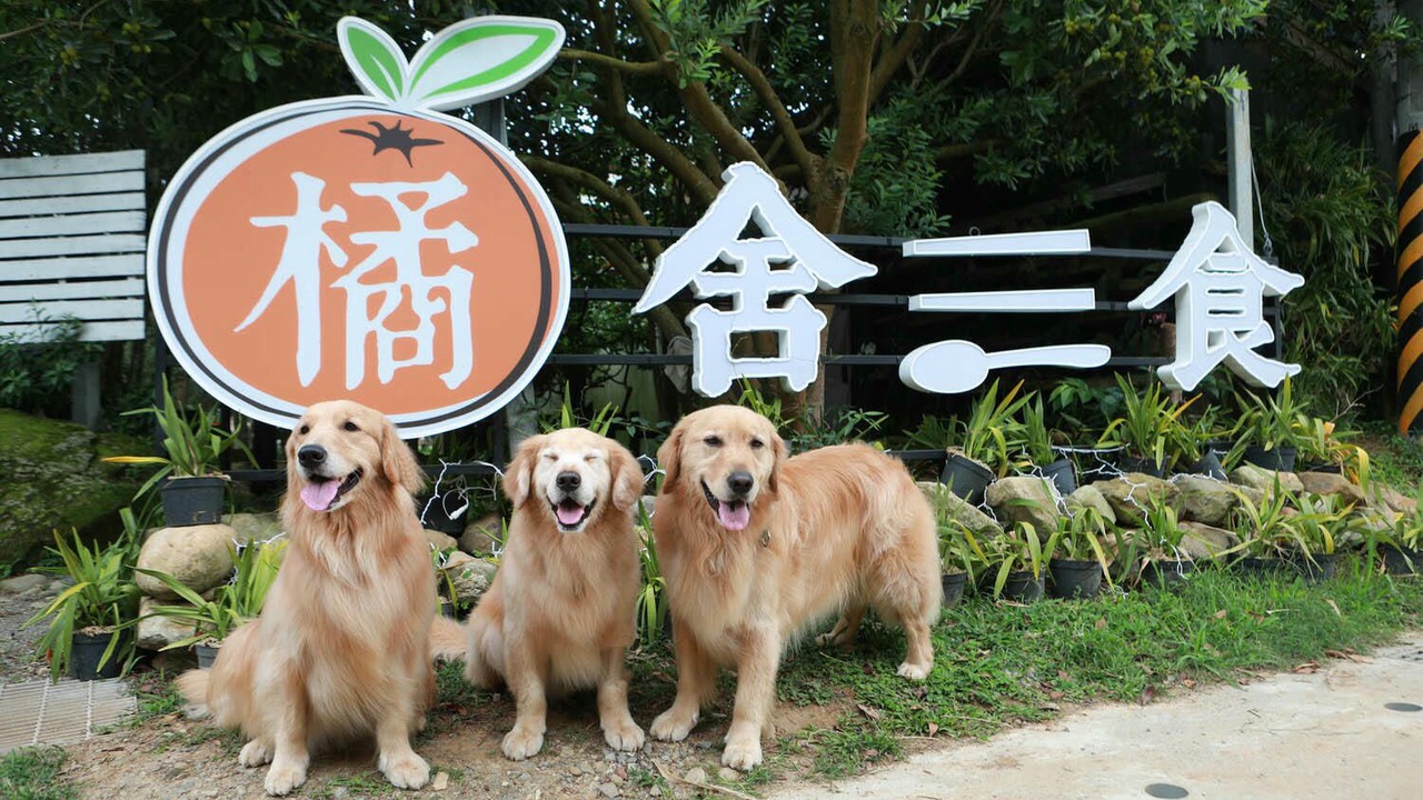 Photo of Outdoor in Zhuolan