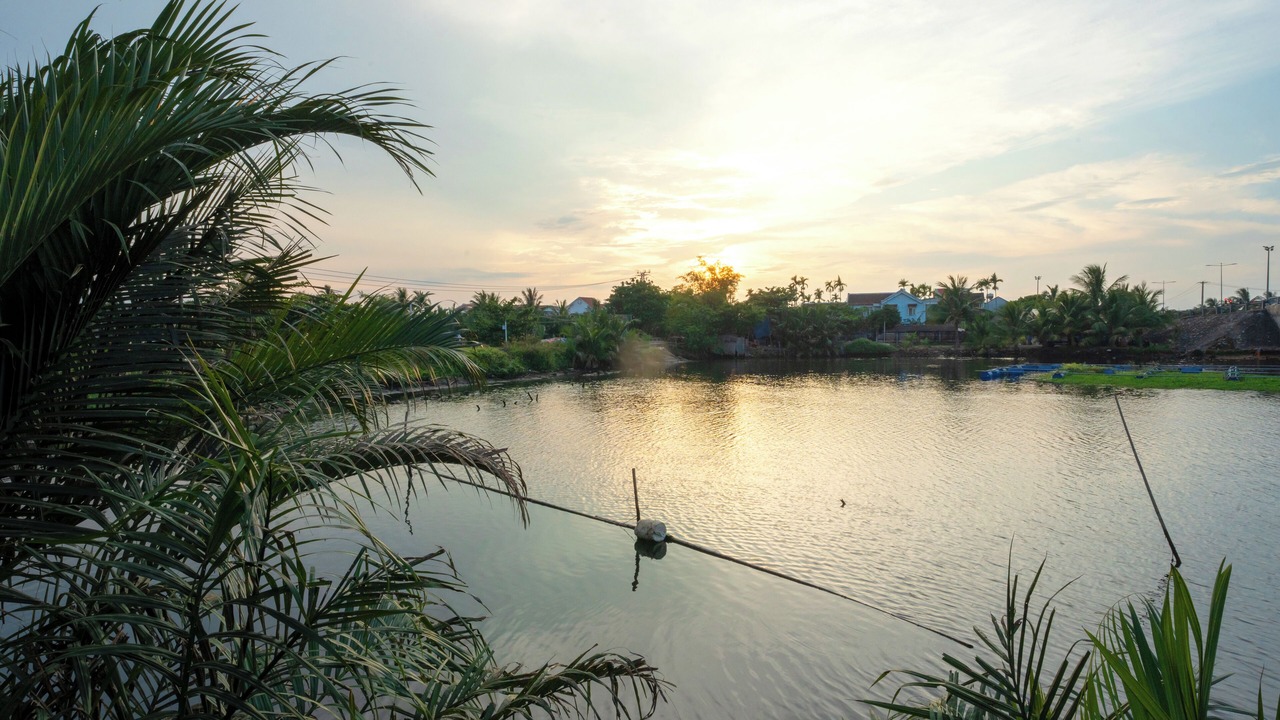 Photo of Outdoor in Cam Thanh