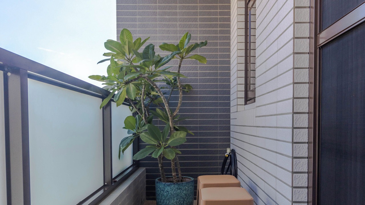 Photo of Patio Balcony in Wujie