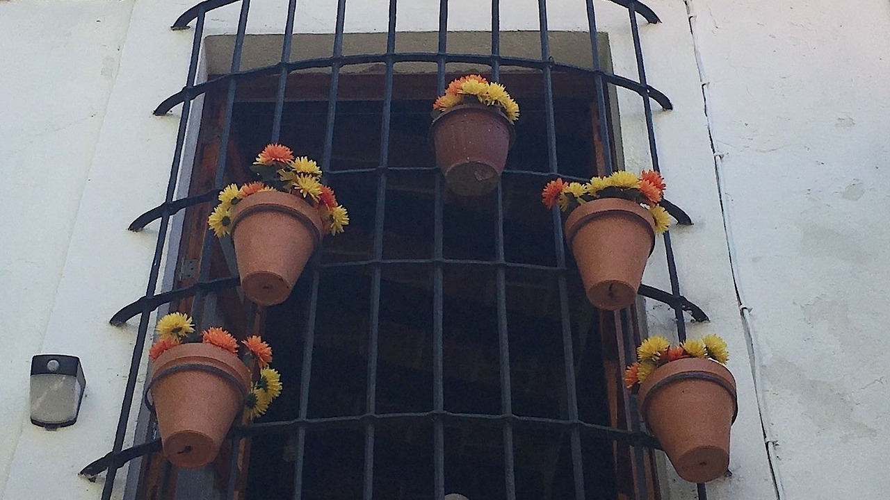 Photo of Patio Balcony in Centro