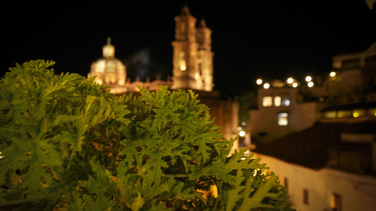 Photo of Others in Centro