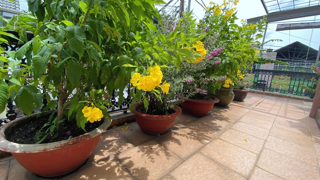 Photo of Outdoor in Linh Trung IEPZ