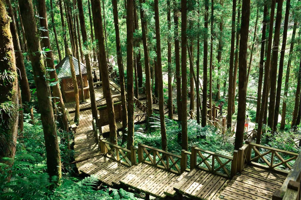 Photo of Outdoor in Datong