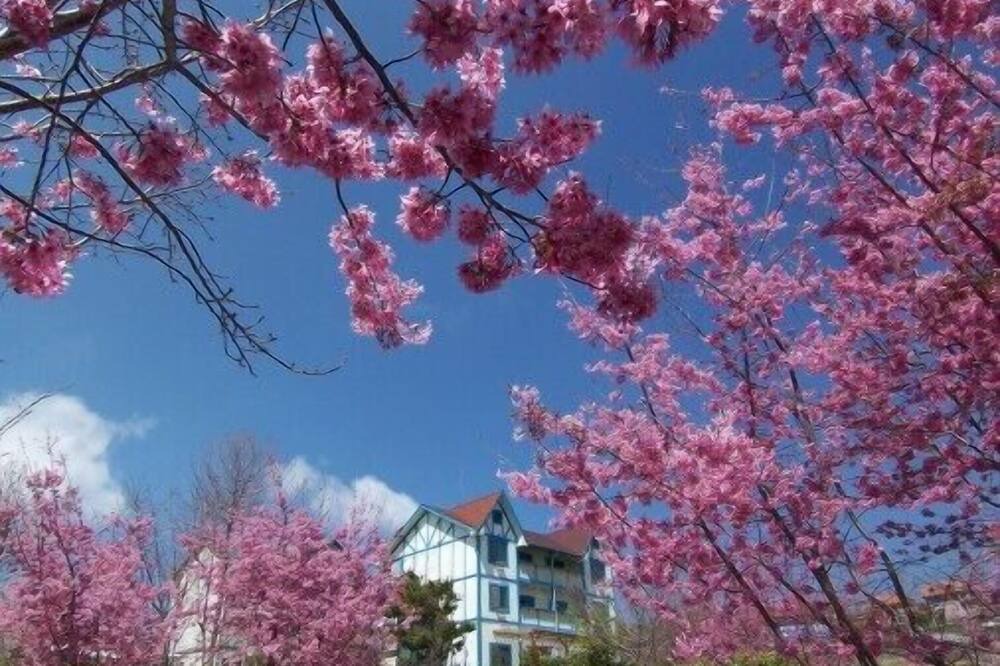 Photo of Outdoor in Ren'ai