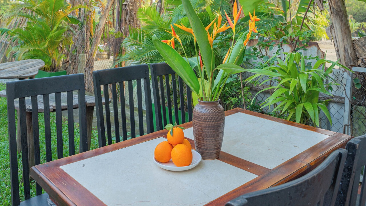 Photo of Outdoor in Cam Thanh