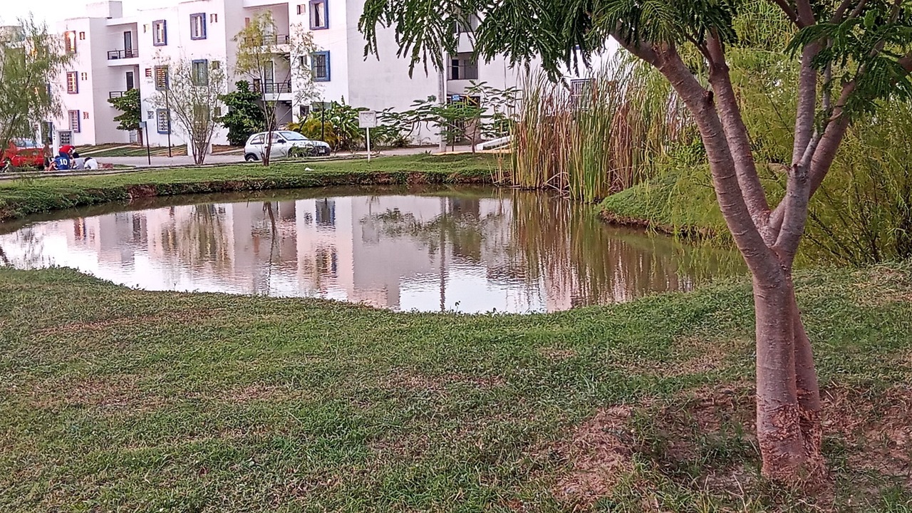Photo of Outdoor in Las Mojoneras