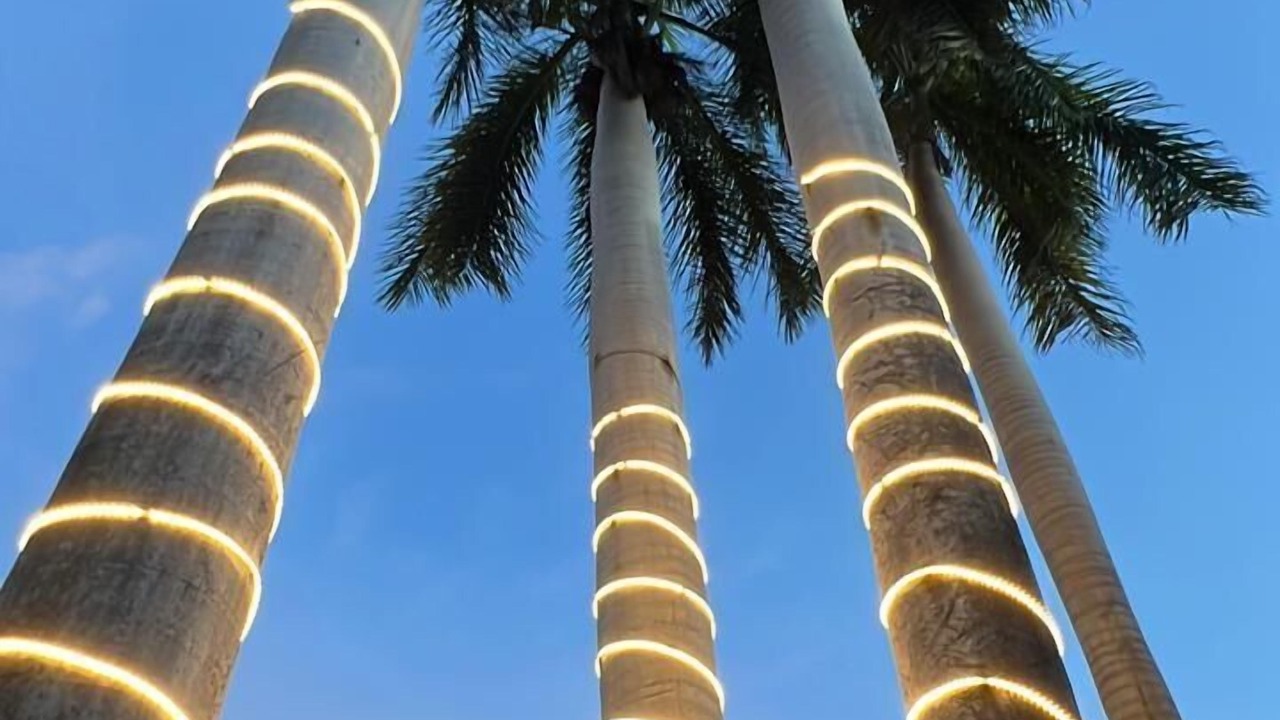 Photo of Outdoor in Zihuatanejo