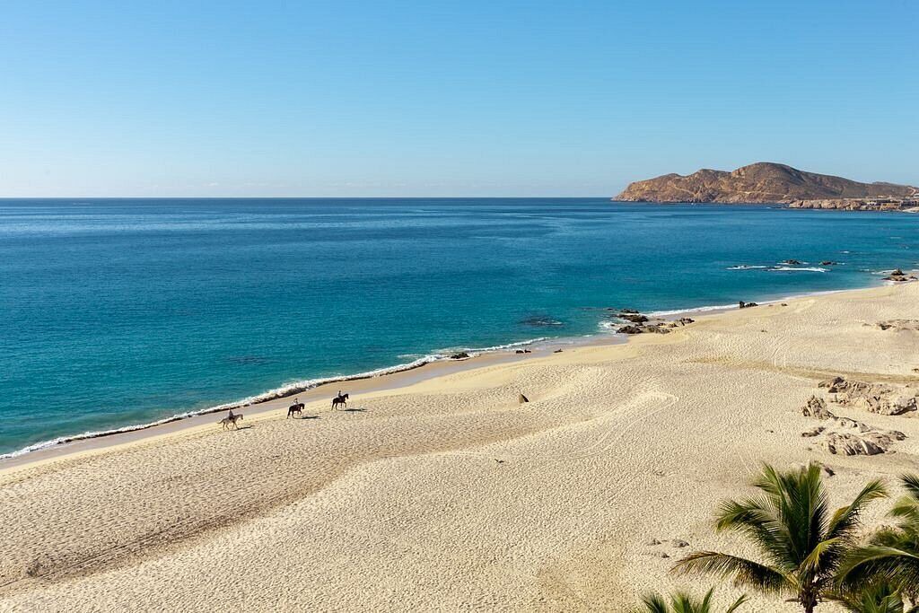 Photo of Others in Cabo San Lucas