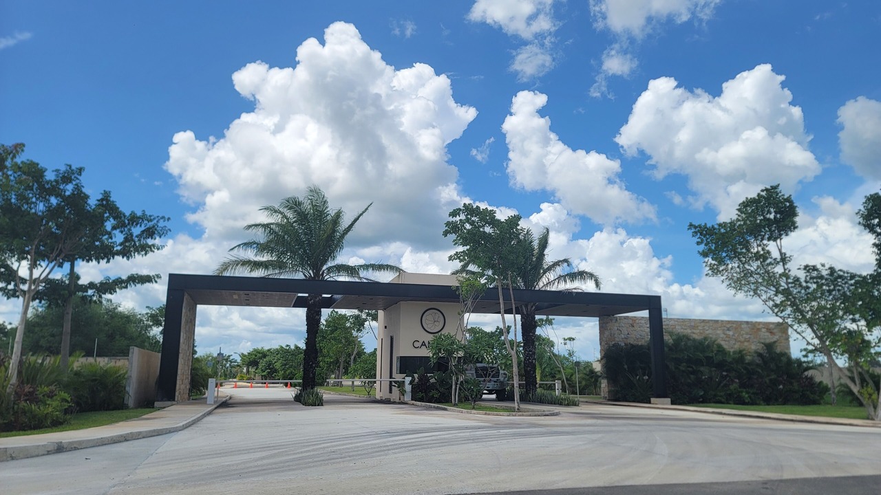 Photo of Others in Merida