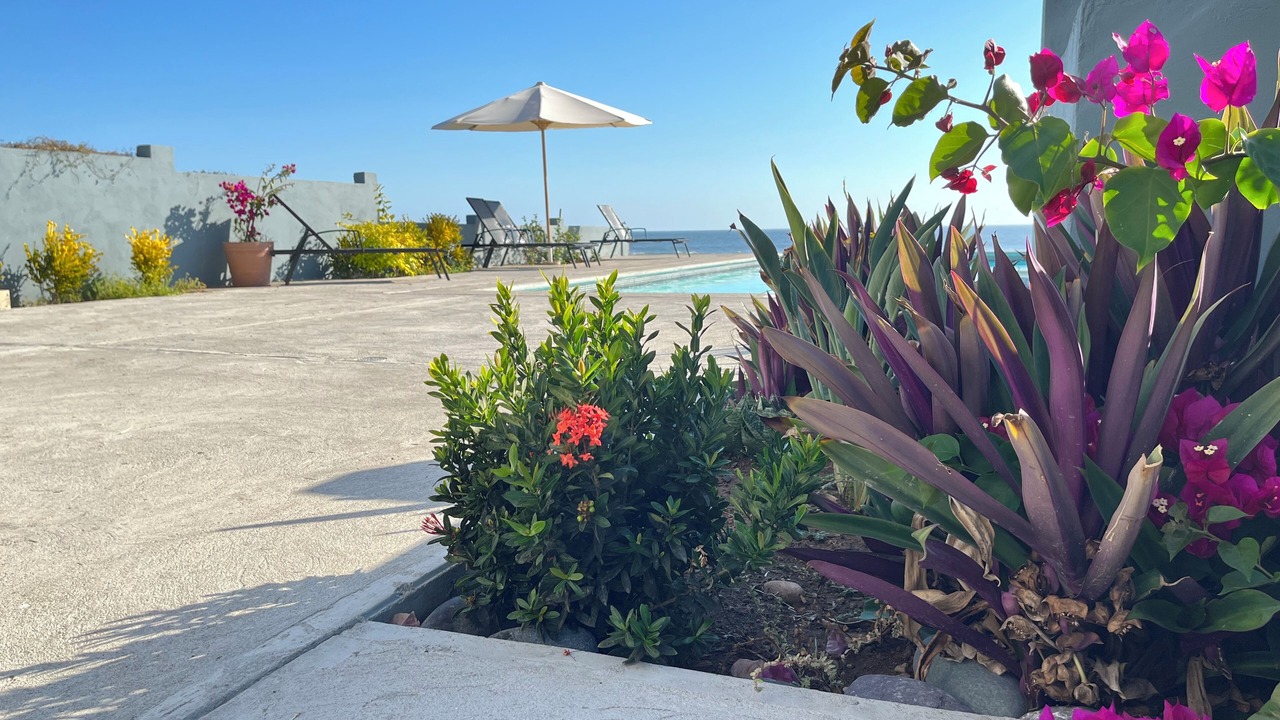 Photo of Outdoor in San Juan de Alima