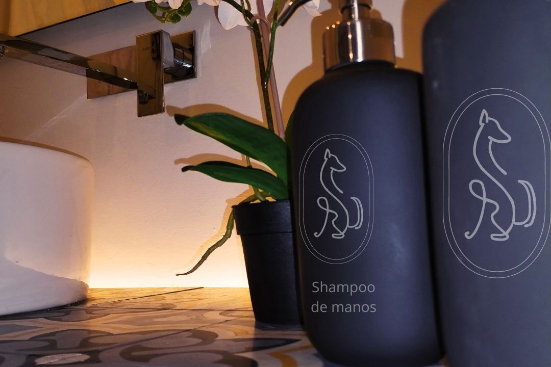 Photo of Bathroom in Centro