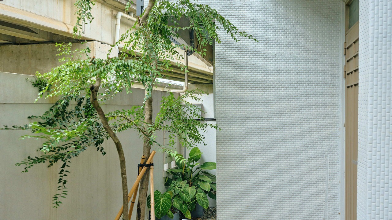 Photo of Outdoor in Luzhu District