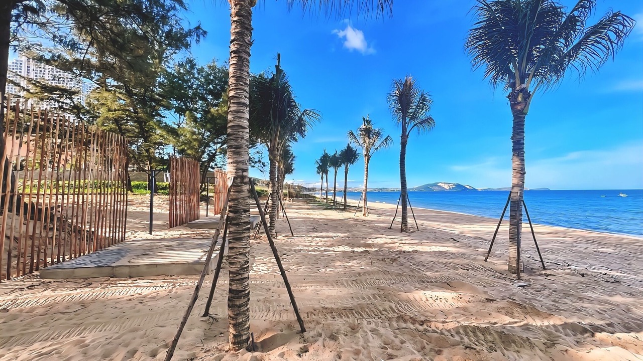 Photo of Others in Suoi Nuoc Beach