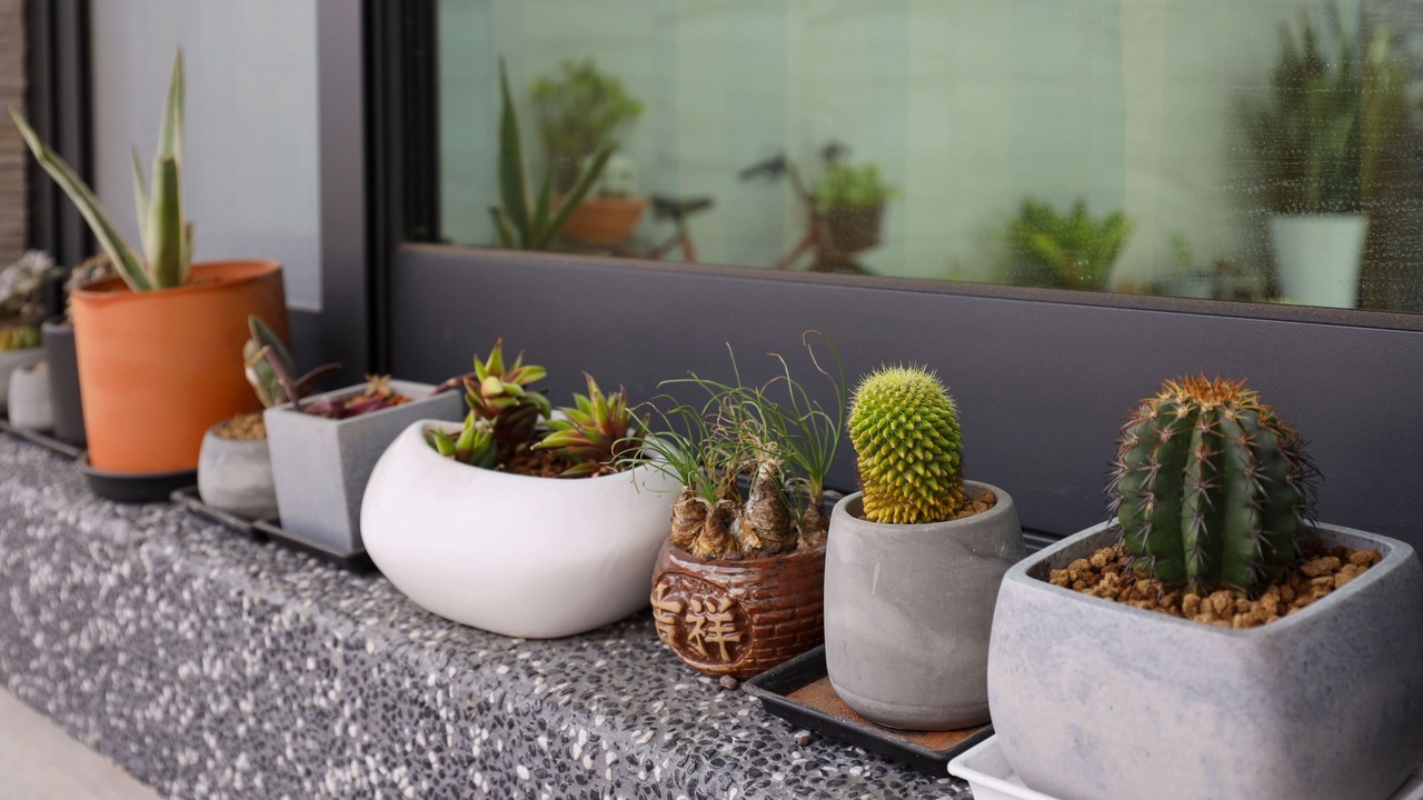 Photo of Patio Balcony in Chaozhou