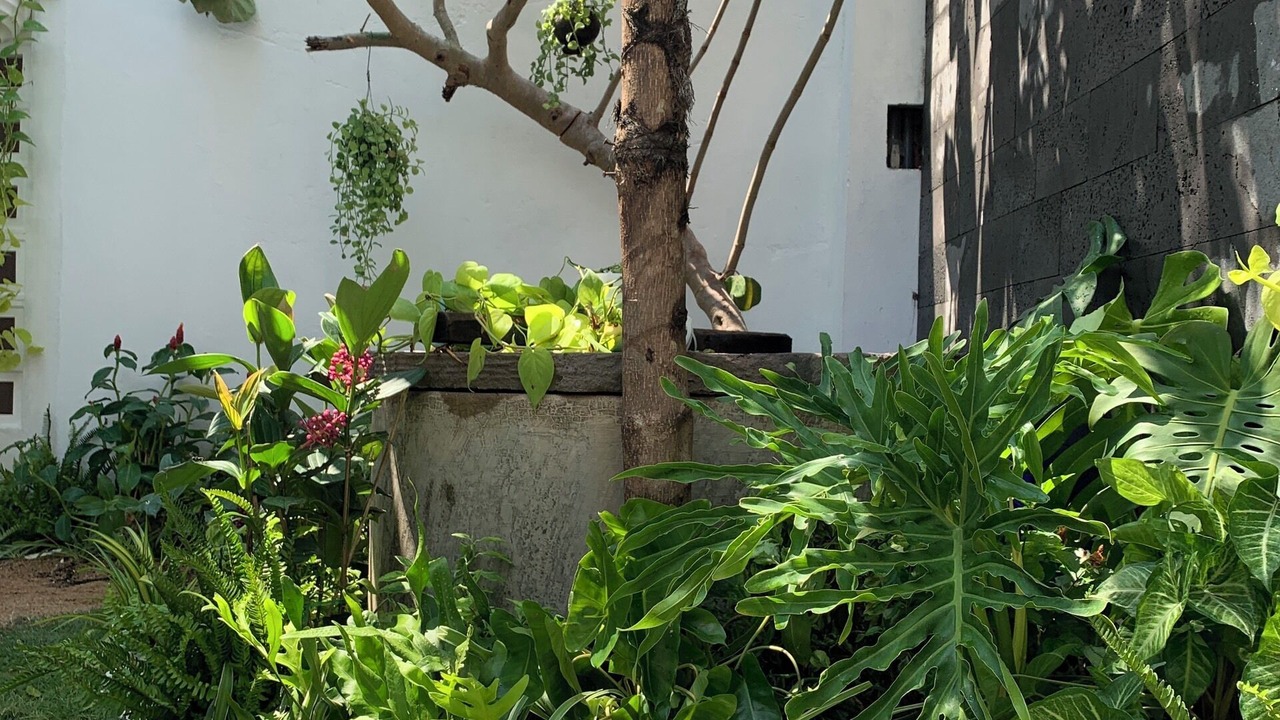 Photo of Outdoor in Dong Hoa