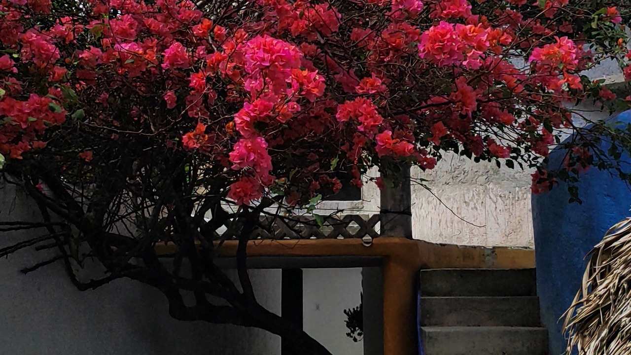Photo of Others in Colonia Centro
