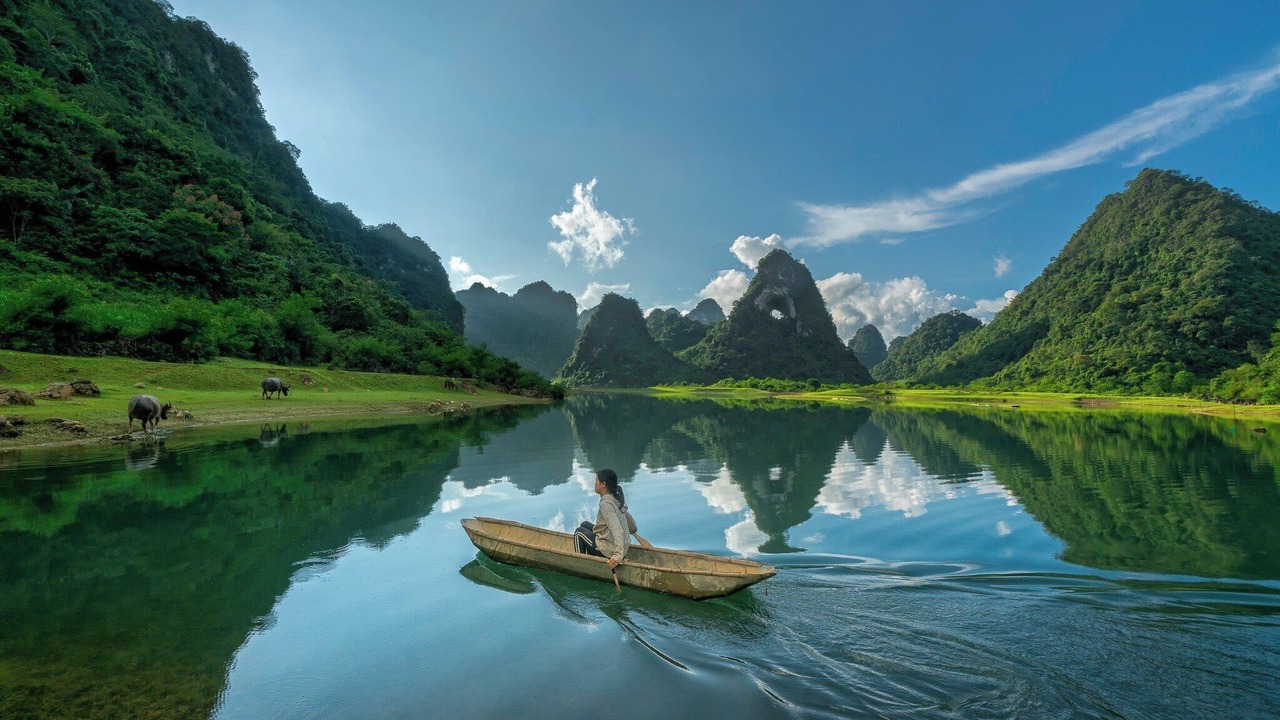 Photo of Others in Tra Linh