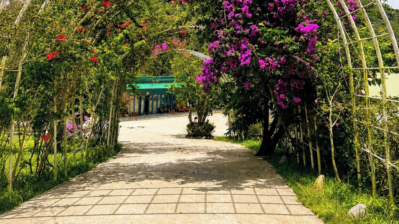 Photo of Outdoor in Da Lat
