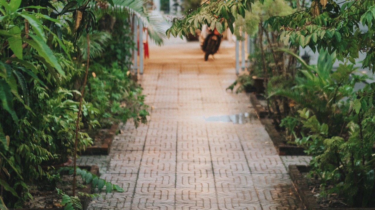 Photo of Outdoor in La Gi
