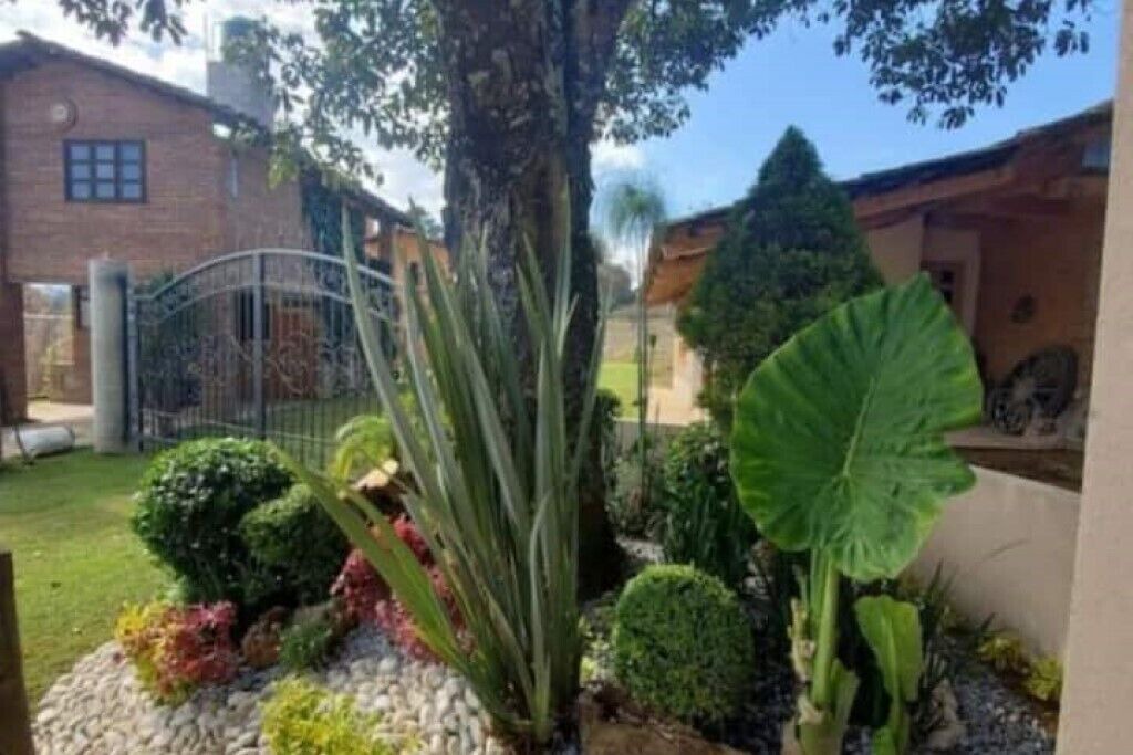 Photo of Outdoor in Zacatlan