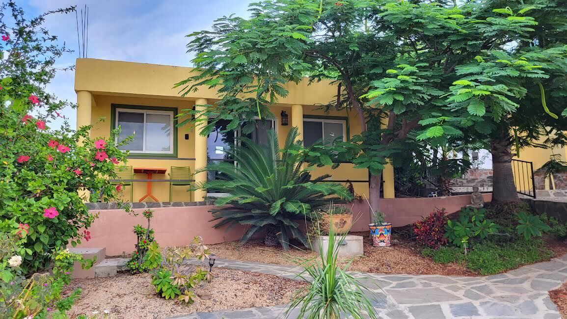 Photo of Outdoor in Todos Santos