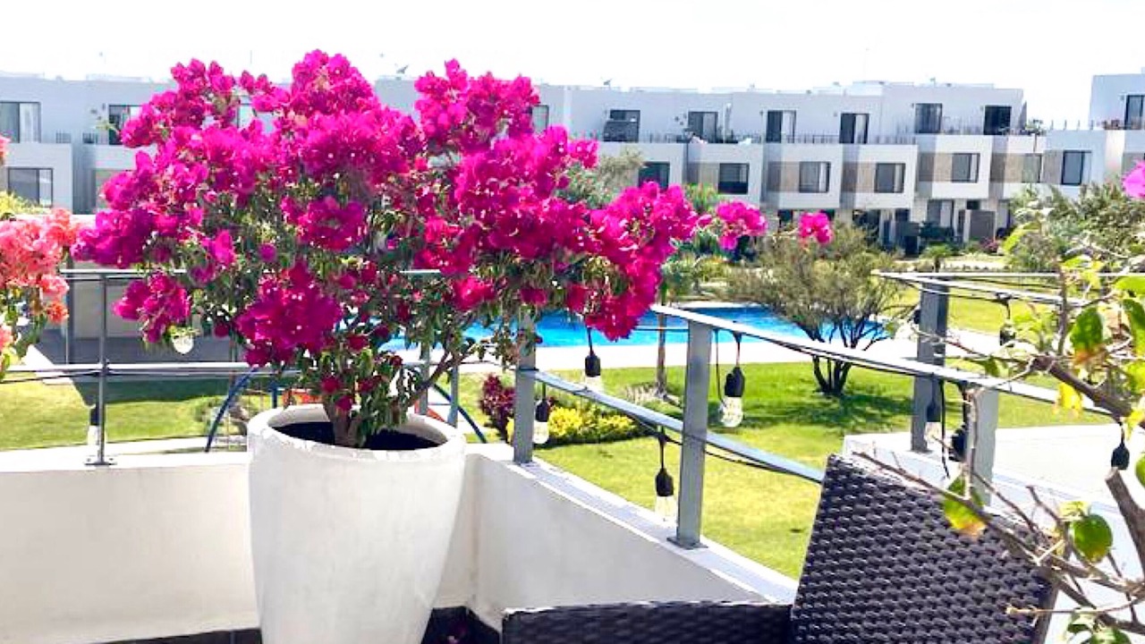 Photo of Outdoor in Xochitepec