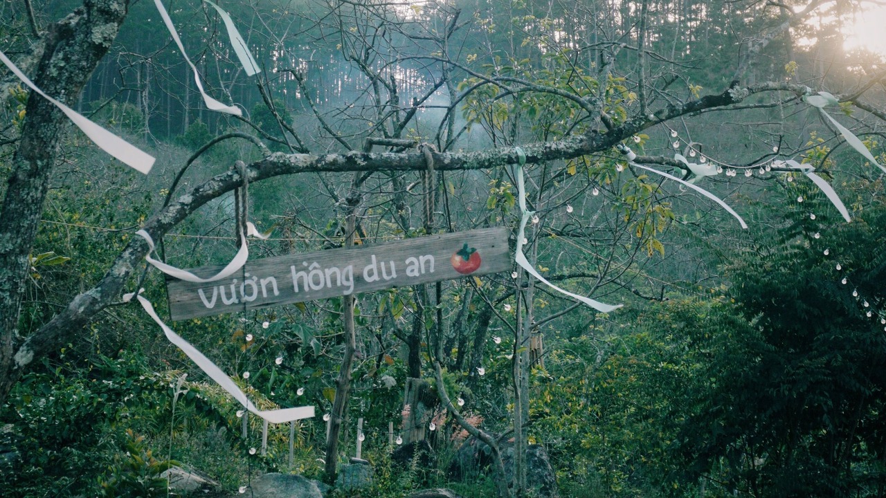 Photo of Others in Don Duong