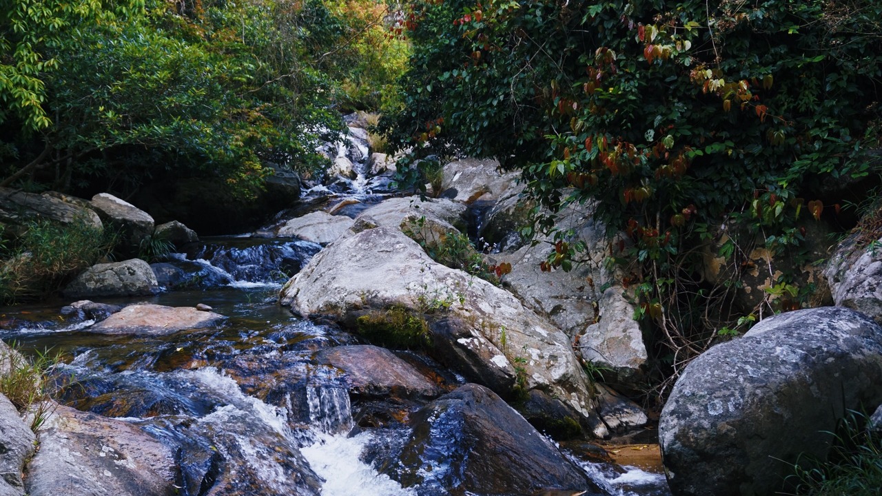 Photo of Outdoor in Don Duong