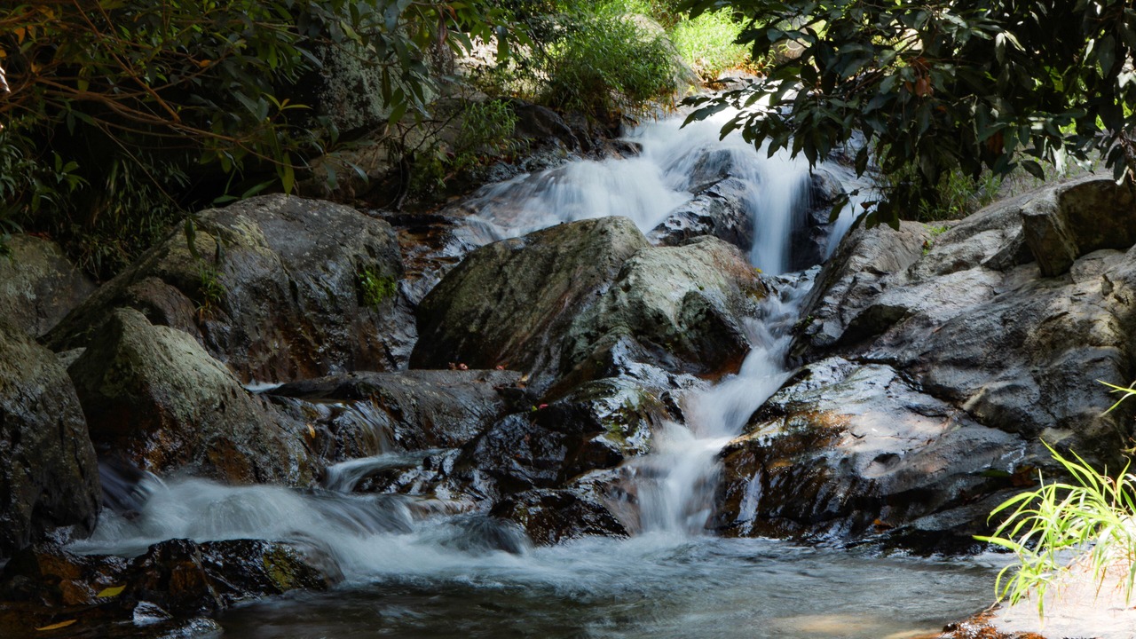 Photo of Outdoor in Don Duong