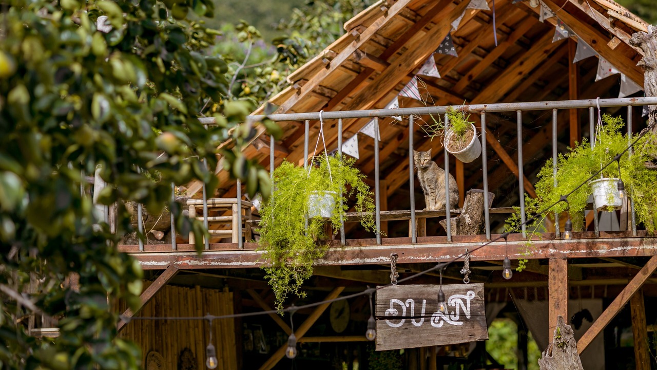 Photo of Outdoor in Don Duong