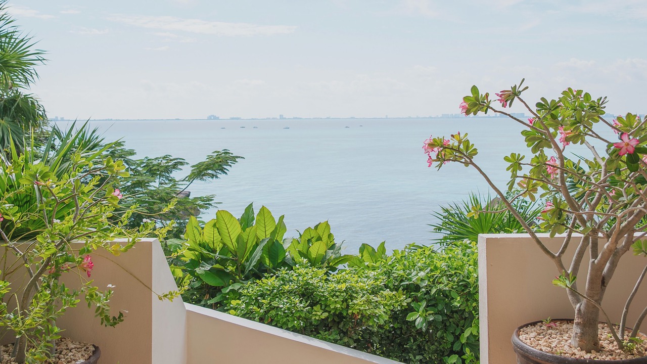 Photo of Outdoor in Isla Mujeres