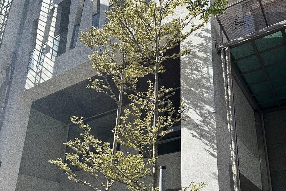 Photo of Outdoor in East District