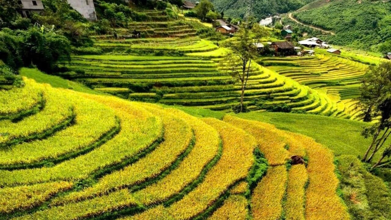 Photo of Outdoor in Sa Pa