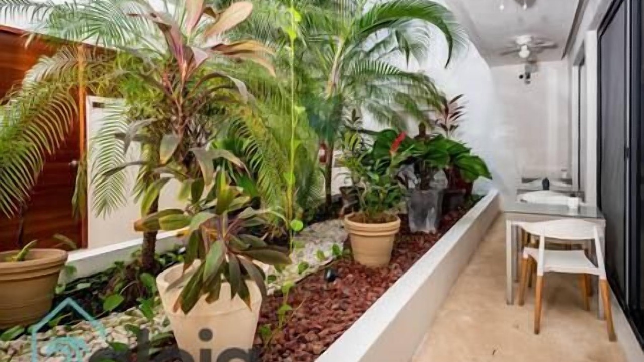 Photo of Outdoor in Venustiano Carranza