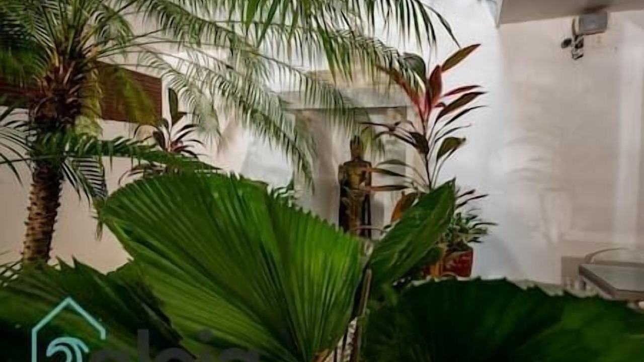Photo of Outdoor in Venustiano Carranza