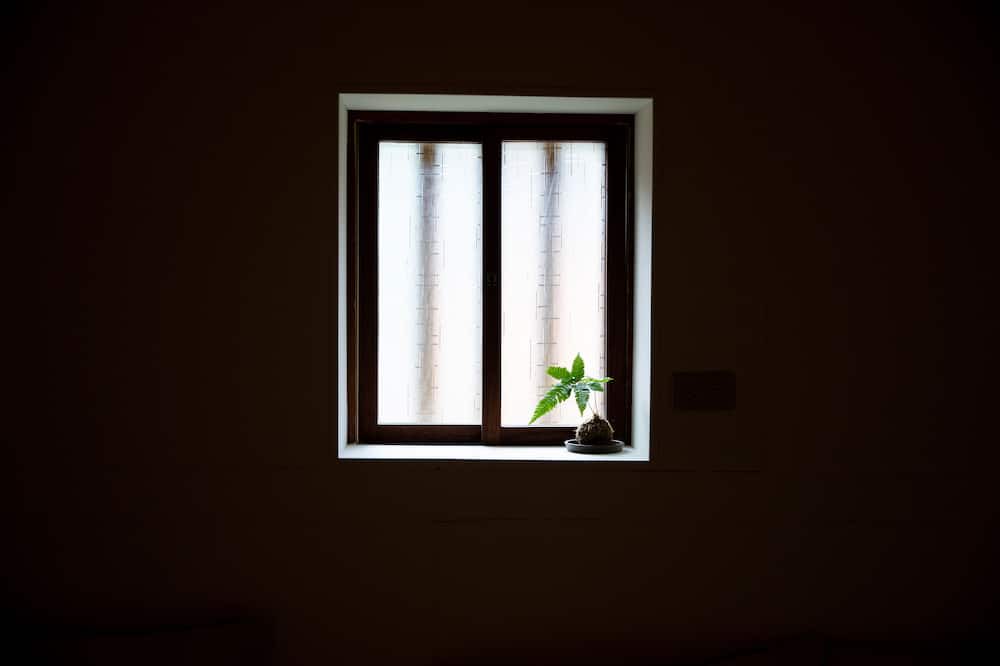 Photo of Bedroom in Longtan District
