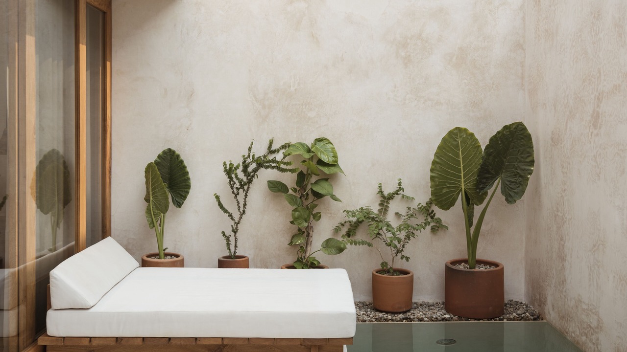 Photo of Outdoor in Brisas de Zicatela