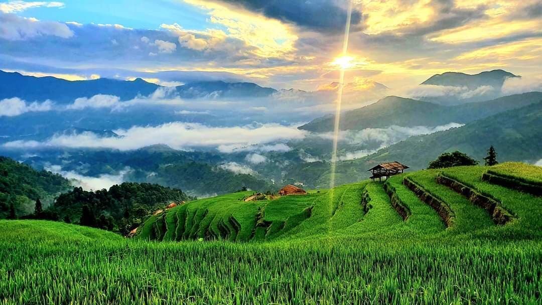 Photo of Others in Thong Nguyen