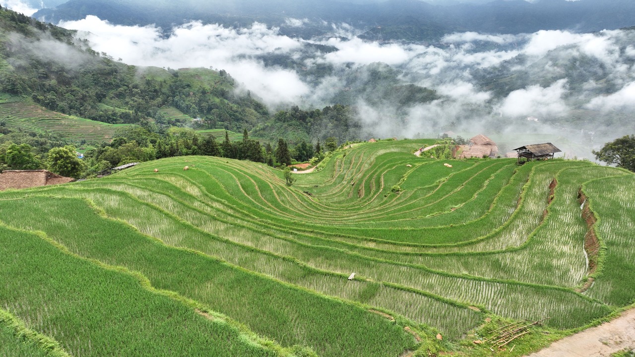 Photo of Outdoor in Thong Nguyen