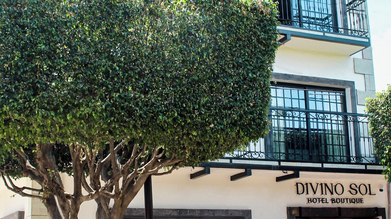 Photo of Outdoor in Leon Centro