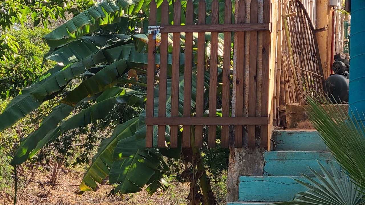 Photo of Outdoor in Emiliano Zapata