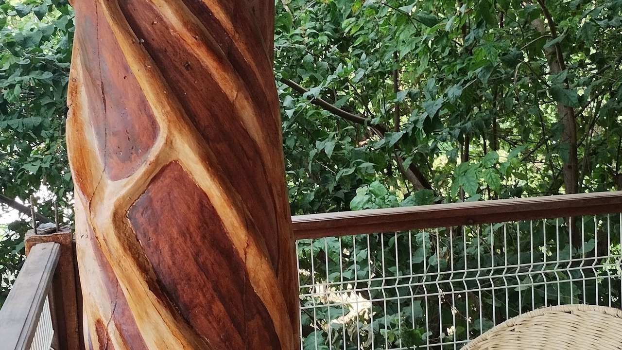 Photo of Patio Balcony in Emiliano Zapata
