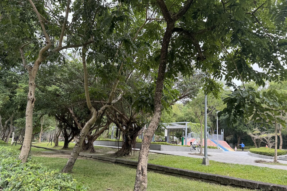 Photo of Outdoor in Xinyi