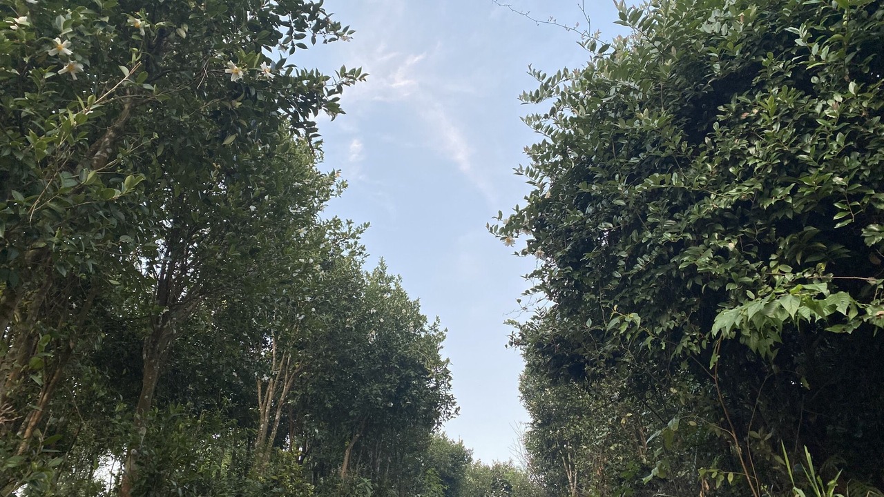 Photo of Outdoor in Him Lam