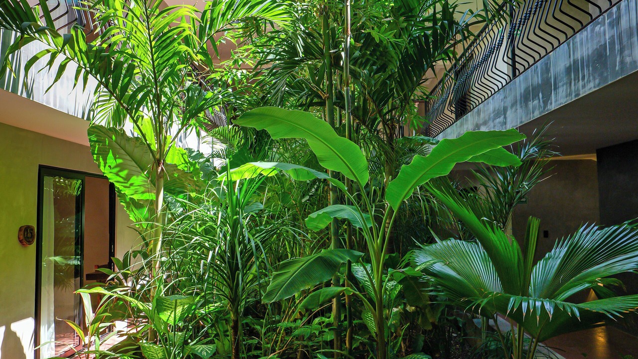 Photo of Outdoor in Zama