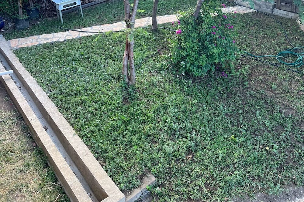 Photo of Outdoor in Agencia Municipal Santa Cruz