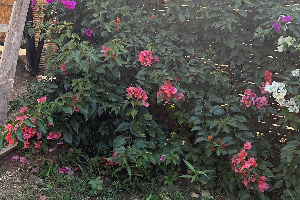 Photo of Outdoor in Agencia Municipal Santa Cruz