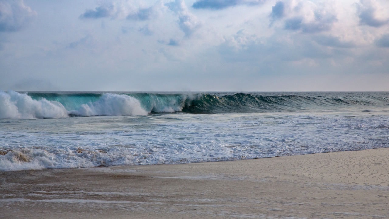 Photo of Others in Puerto Escondido