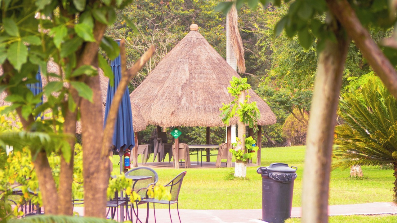Photo of Patio Balcony in Tamasopo